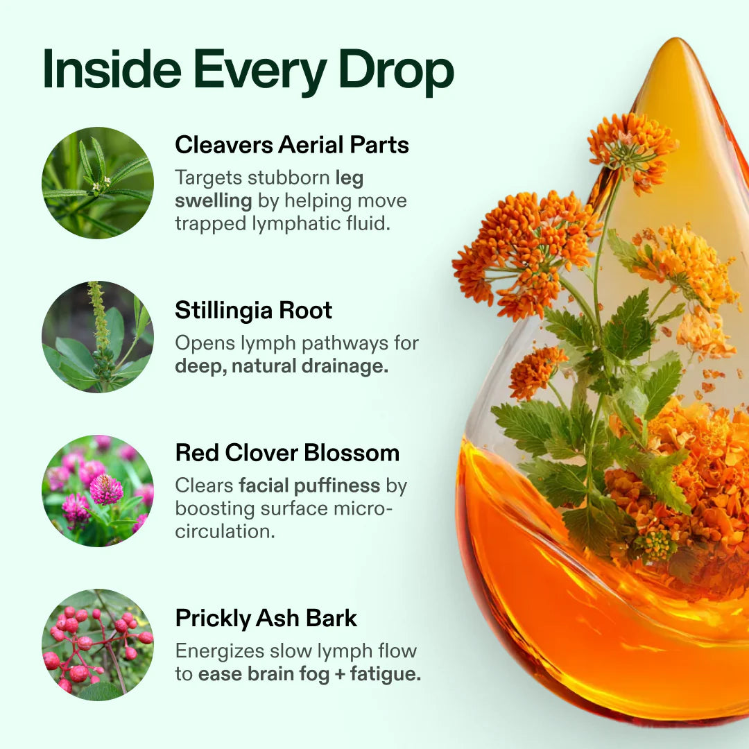 Lymphatic Drainage Body Care Drops